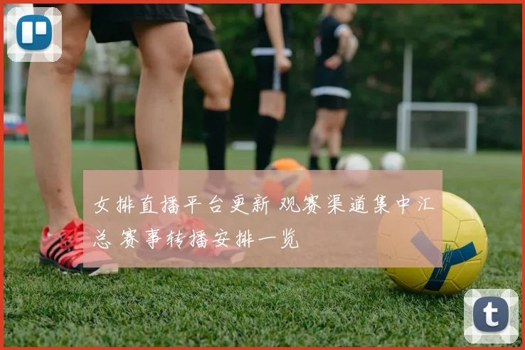 女排直播平台更新 观赛渠道集中汇总 赛事转播安排一览